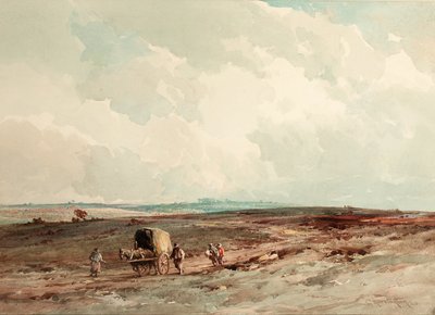 Sur la réserve forestière d