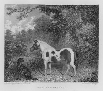Beauté et Général - Charles Henry Schwanfelder