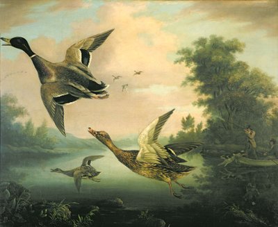 Chasse au canard - Charles Henry Schwanfelder