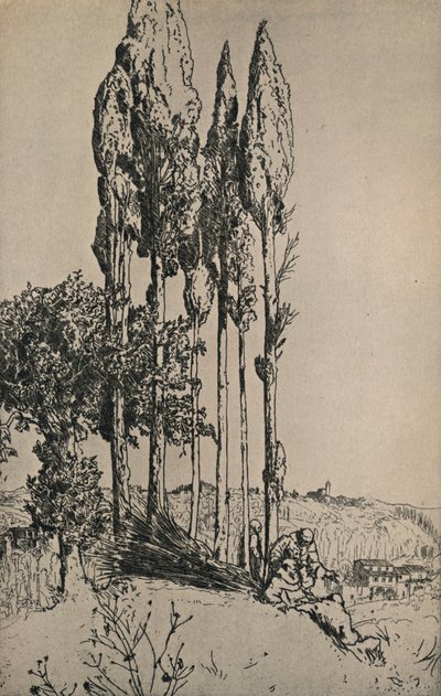 Cyprès près de Sienne, 1903 - Charles Holroyd
