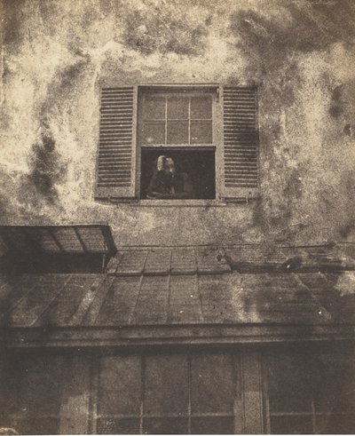 Auguste Vacquerie à une fenêtre, Marine Terrace, vers 1853 - Charles Hugo, Auguste Vacquerie