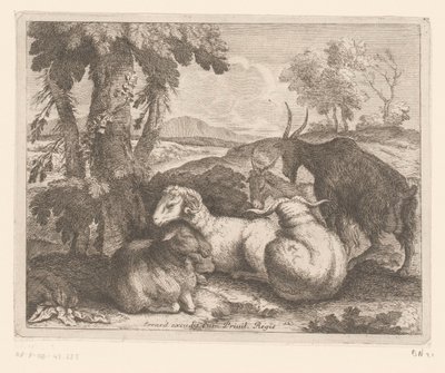 Moutons et chèvres sous un arbre - Charles II Errard (attributed to)