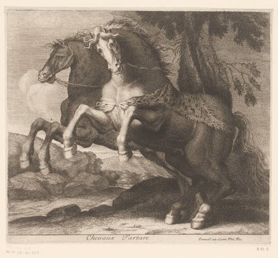 Chevaux cabrés - Charles II Errard (attributed to)