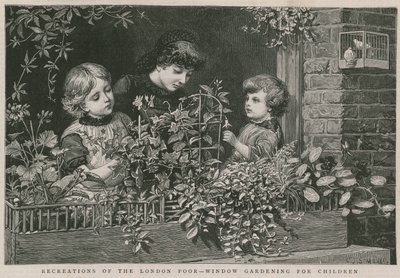 Récréations des pauvres de Londres : Jardinage de fenêtre pour enfants - Charles J. Staniland