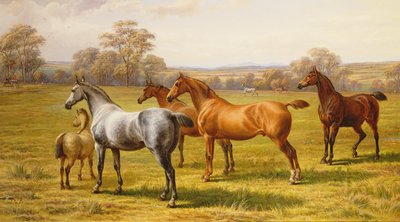 Chevaux et Poulain dans un Champ - Charles Jones