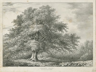 Lichfield - Saule de Dr. Johnson - Charles Joseph Hullmandel