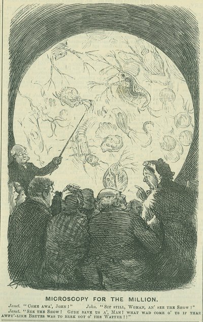 Microscopie pour les millions : 1878 (gravure) - Charles Keene