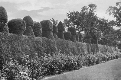 Fulford Hall : Travail de Topiaire Excentrique - Charles Latham