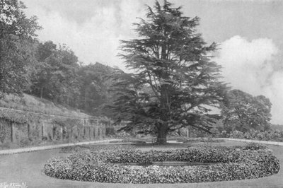 Sur la pelouse - Charles Latham