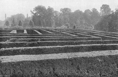 Partie du labyrinthe (presque la moitié) - Charles Latham