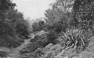Le manoir depuis l