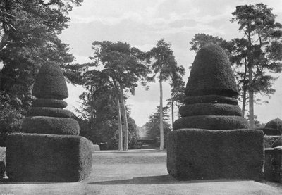 Les Arbres Rouges des Grands Sapins Écossais - Charles Latham