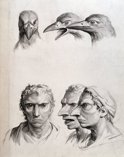 Profils d
