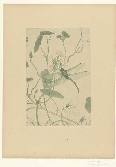 Libellule sur une fleur de capucine - Charles Louis Houdard