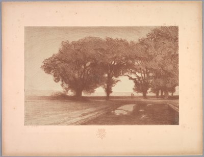 Suite de Paysages: Paysage, Planche 8, Remarque, Pensées - Charles Marie Dulac