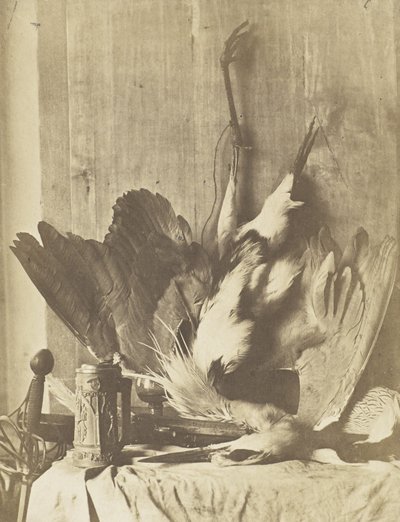 Nature morte de gibier, vers 1853-55 - Charles Marville