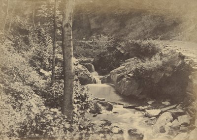 [La Vallée Suisse à St. Goarshausen] - Charles Marville