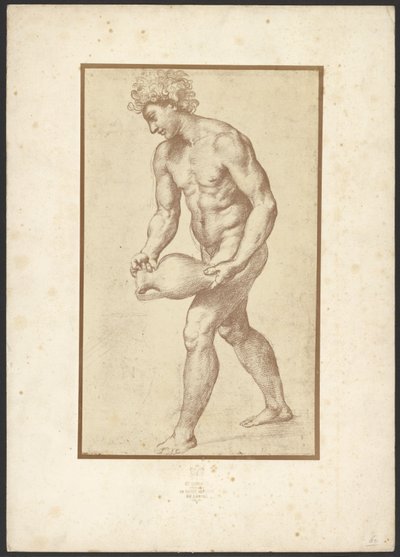 [Homme au vase de Raphaël] - Charles Marville