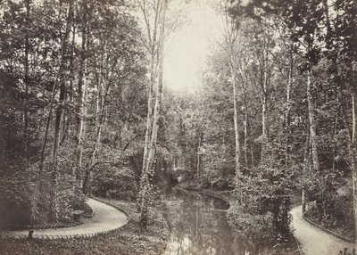 Mare aux biches, Bois de Boulogne - Charles Marville