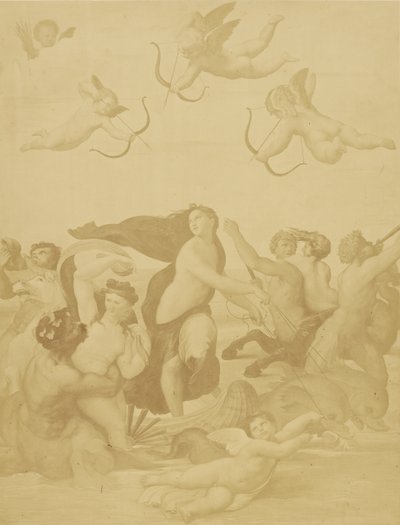 [Reproduction de Galatée par Raphaël] - Charles Marville