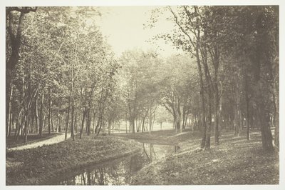 Sans titre - Charles Marville