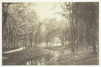 Sans titre, vers 1850. [Arbres près de l