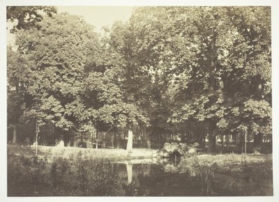 Sans titre, vers 1850. [Arbres près de l