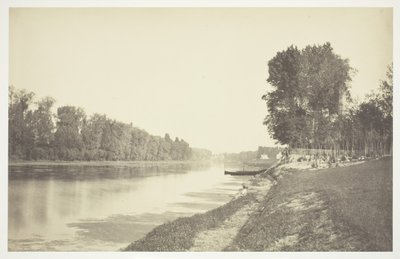 Sans titre, vers 1850 [Arbres près de l