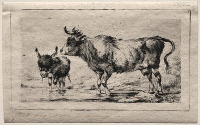 Vache et âne - Charles Meryon