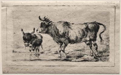 Vache et âne, 1849 - Charles Meryon