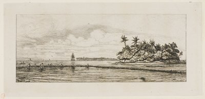 Océanie : Pêche, près des îles avec des palmiers dans le groupe Uea ou Wallis, 1845 - Charles Meryon