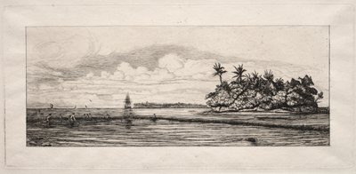 Océanie : Pêche près des îles avec des palmiers dans le groupe Uea ou Wallis - Charles Meryon