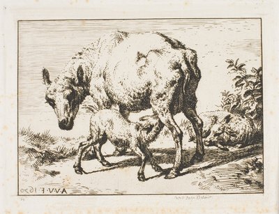 La Brebis avec deux agneaux - Charles Meryon