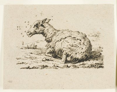 Le Mouton et les Mouches - Charles Meryon