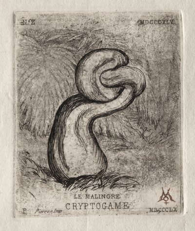 Le Cryptogame maladif - Charles Meryon