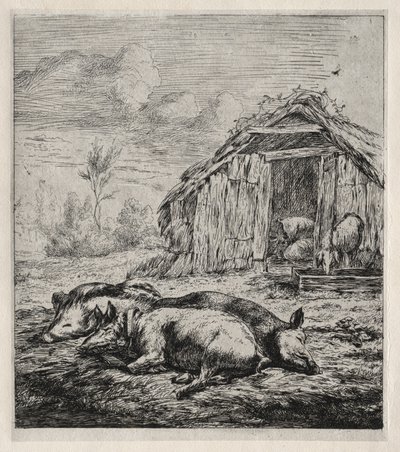 Trois porcs couchés devant une porcherie - Charles Meryon