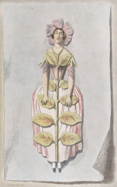 Pervenche Desséchée, de Les Fleurs Animées, 1847 - Charles Michel Geoffroy