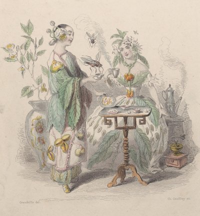 Thé & Café, de Les Fleurs Animées - Charles Michel Geoffroy
