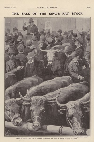 Bétail des fermes royales de Windsor en vente au marché aux bestiaux de Slough, Berkshire - Charles Mills (after) Sheldon