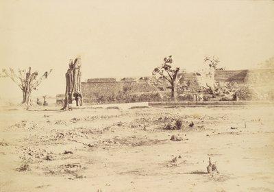 [Paysage aride avec une forteresse non identifiée, Delhi]. - Charles Moravia