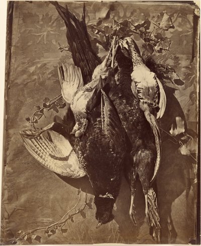 [Nature morte de gibier à plumes] - Charles Nègre