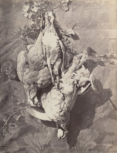 Nature Morte avec Gibier, 1859 - Charles Nègre