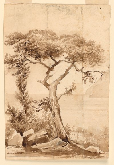 À la côte de la mer Méditerranée - Charles Nicolas Ransonnette