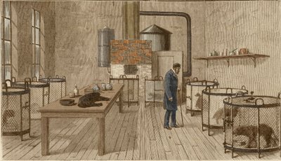 Chiens en cages dans le laboratoire de Louis Pasteur - Charles Paul Renouard