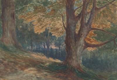 Arbres sur une colline dans un paysage boisé - Charles Reginald Aston