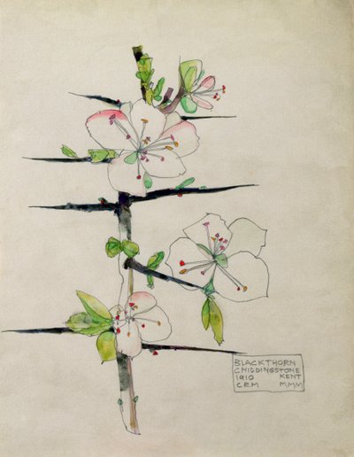 Épine Noire, Chiddingstone, Kent, 1910 - Charles Rennie Mackintosh
