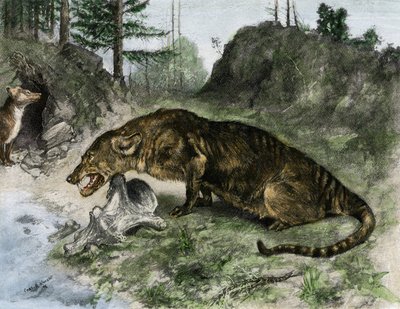 Préhistoire : un mésonyx sur les rives du lac Uintah dans l