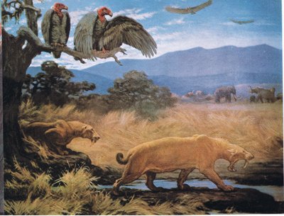 Chats à dents de sabre - Charles Robert Knight