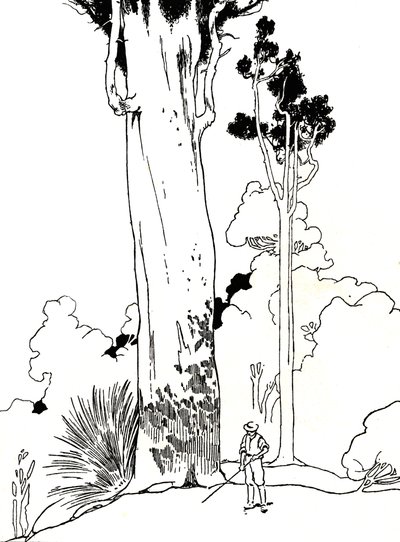Un arbre Kauri, 1912 - Charles Robinson
