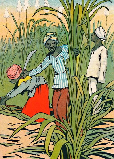 Au travail parmi les cannes à sucre - Charles Robinson